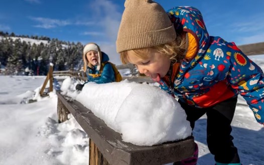 لەم کاتانەدا بەفر مەخۆ